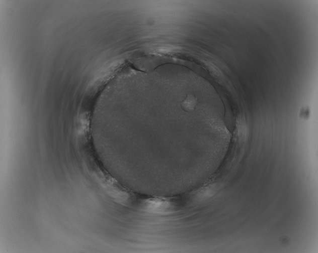 X0000113980284200910231715