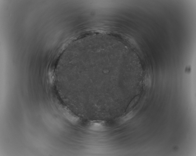 X0000113980285200910231715