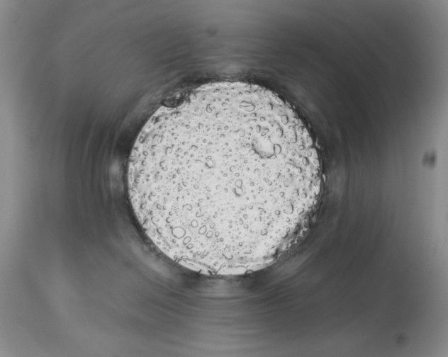 X0000113980286200910231715
