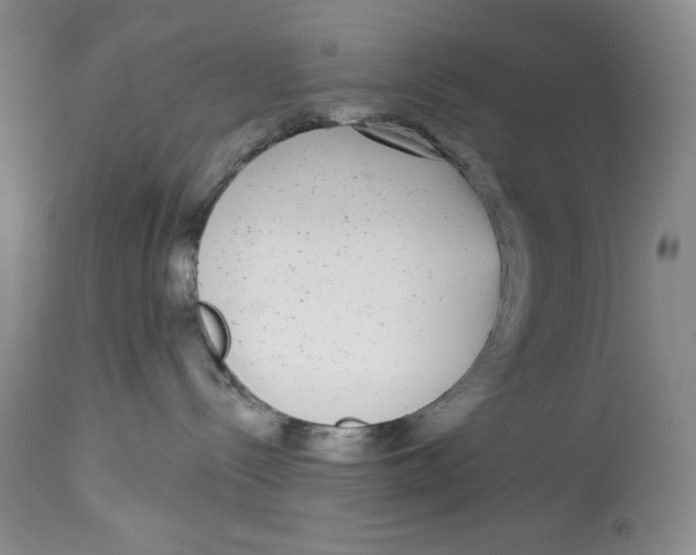 X0000113980288200910231715