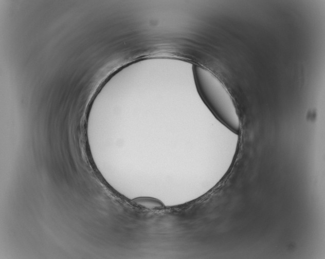 X0000113980289200910231714