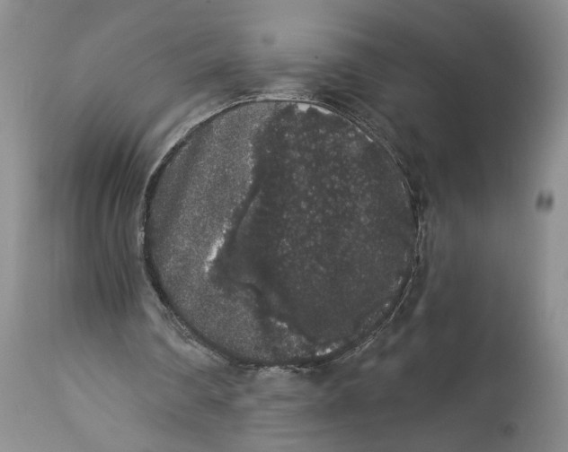 X0000113980290200910231714