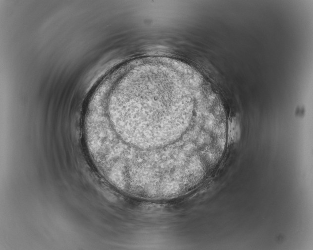 X0000113980291200910231714