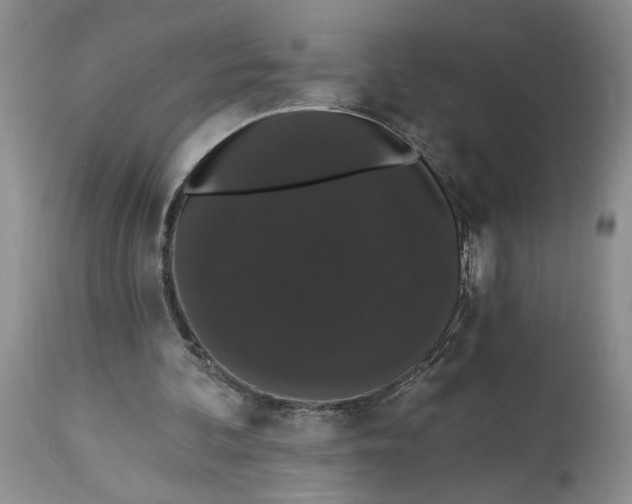 X0000113980292200910231714