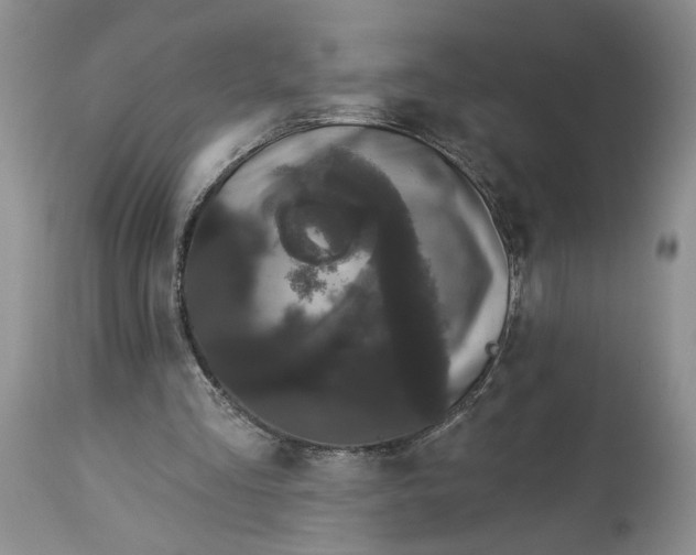 X0000113980293200910231714
