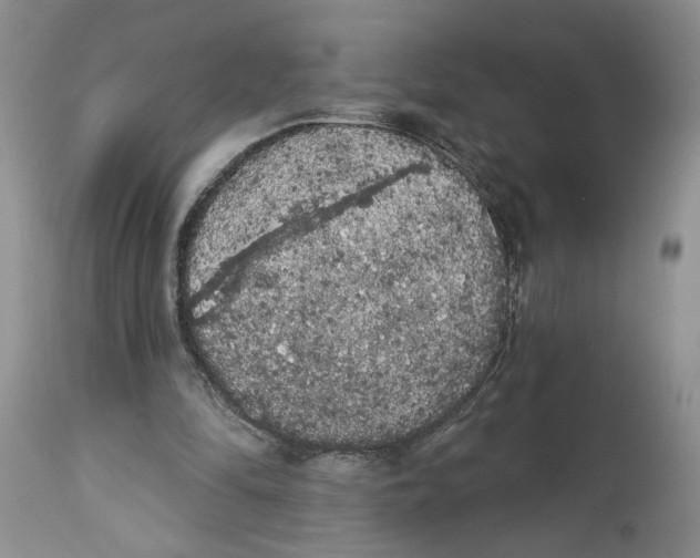 X0000113980294200910231714