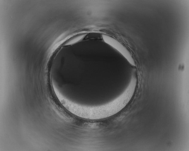X0000113980295200910231714