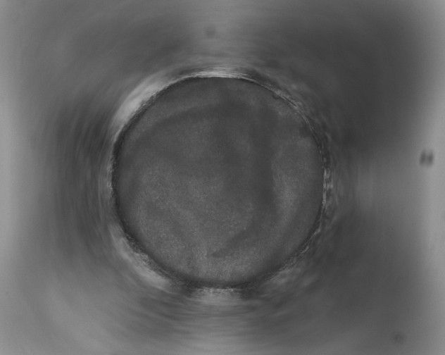X0000113980296200910231714