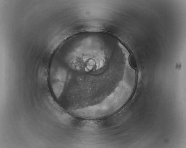 X0000113980297200910231714