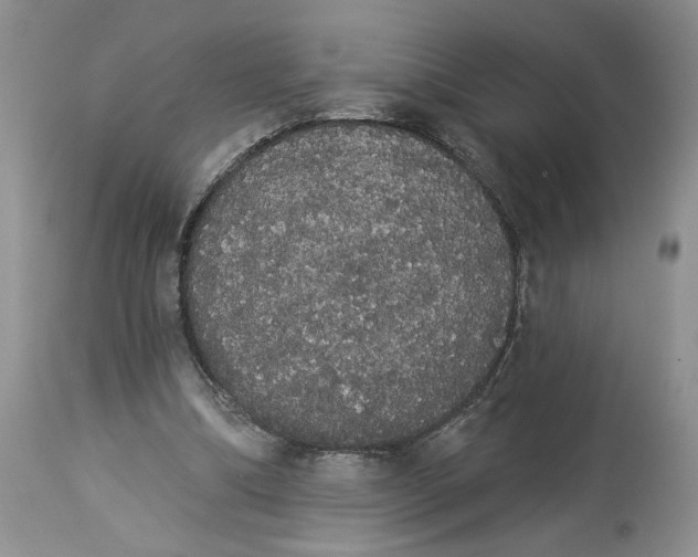 X0000113980298200910231714