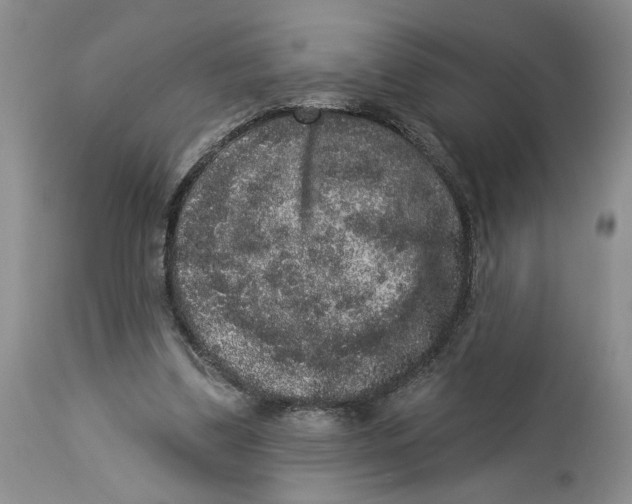 X0000113980299200910231714