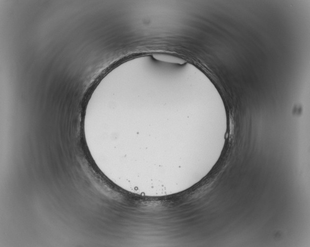 X0000113980301200910231714