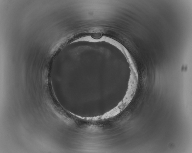X0000113980303200910231714