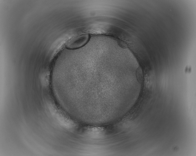 X0000113980304200910231714