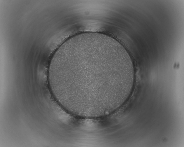 X0000113980305200910231714