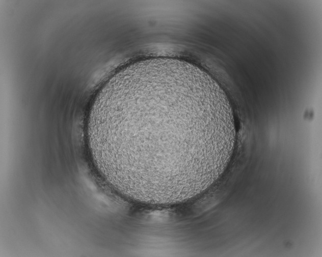 X0000113980306200910231714