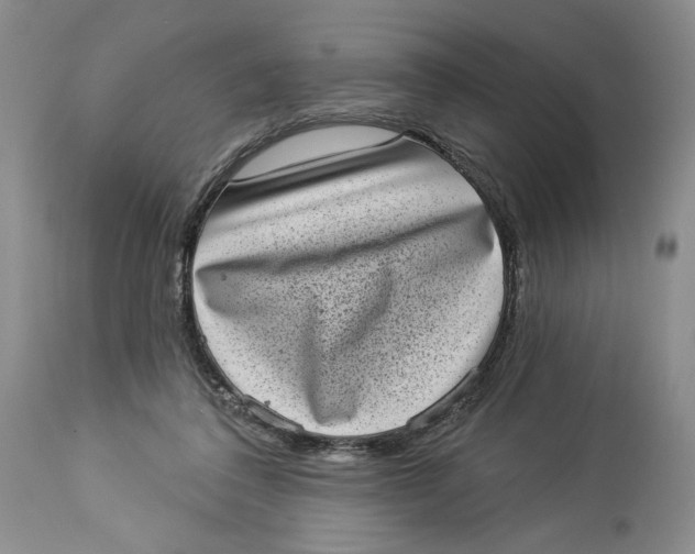 X0000113980308200910231714