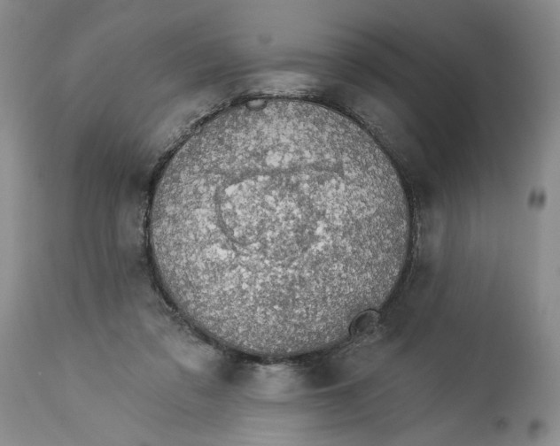 X0000113980309200910231714