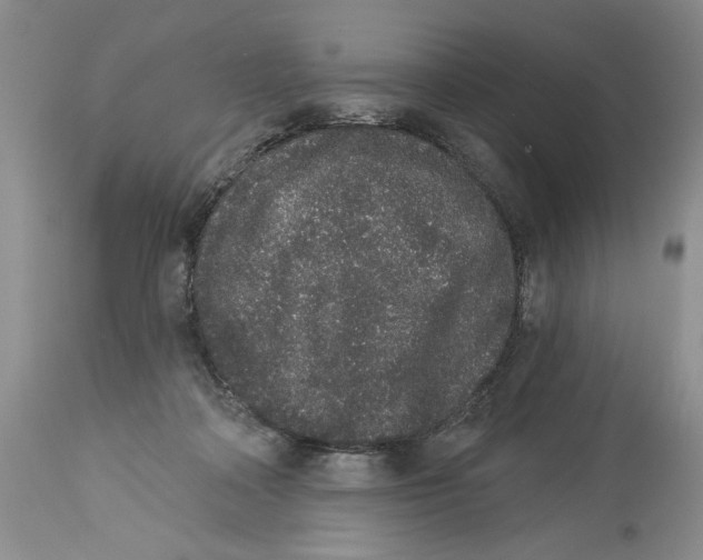 X0000113980314200910231714