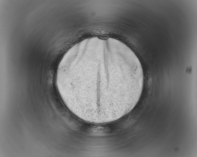 X0000113980315200910231714