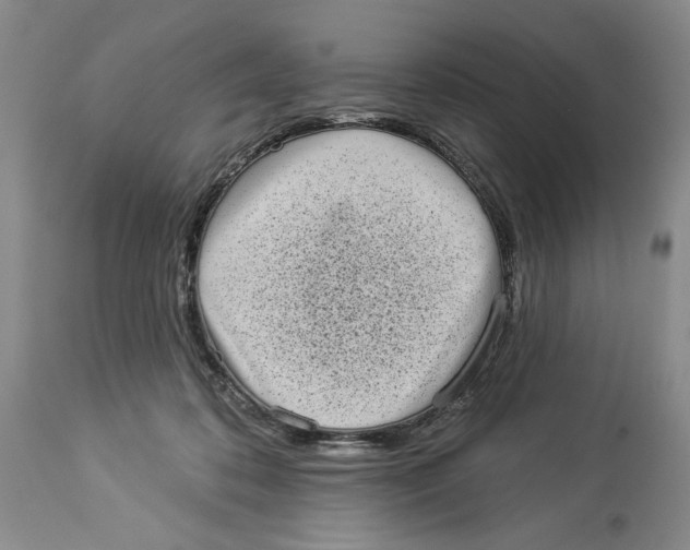 X0000113980316200910231714