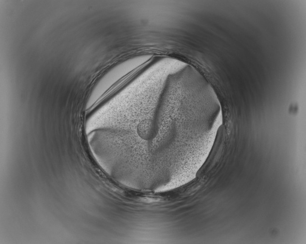 X0000113980317200910231714