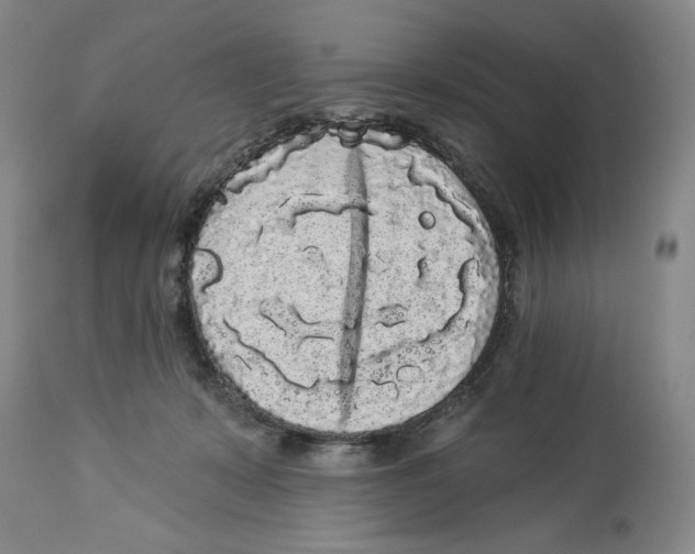 X0000113980319200910231714