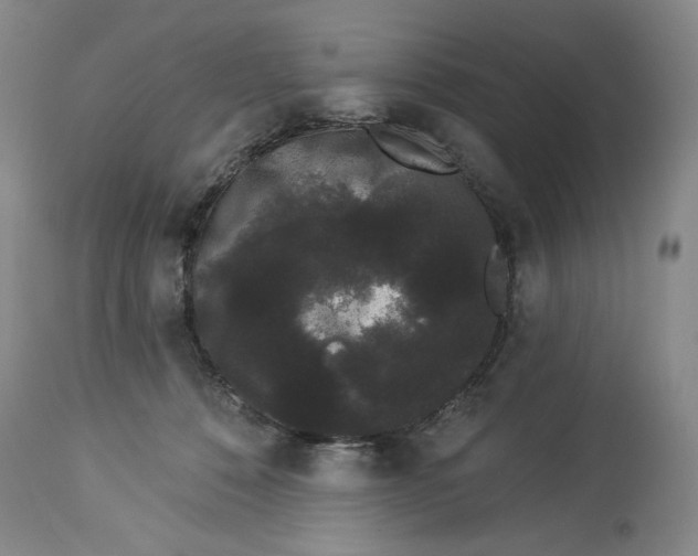 X0000113980320200910231714