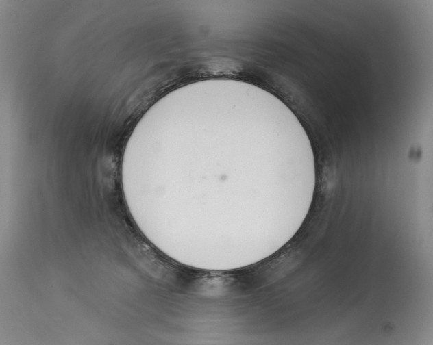 X0000113980321200910231714