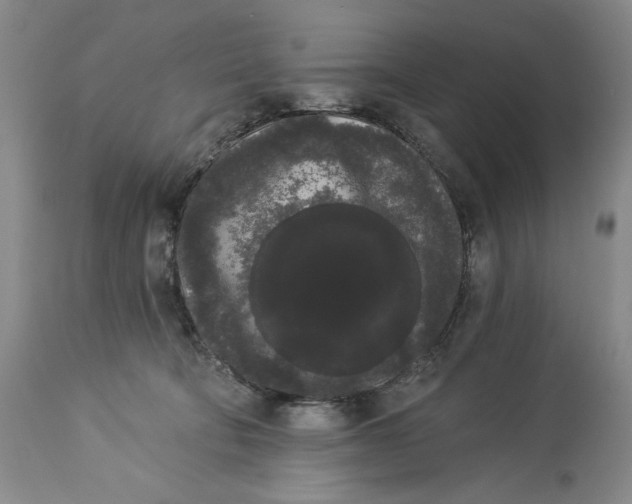 X0000113980322200910231714