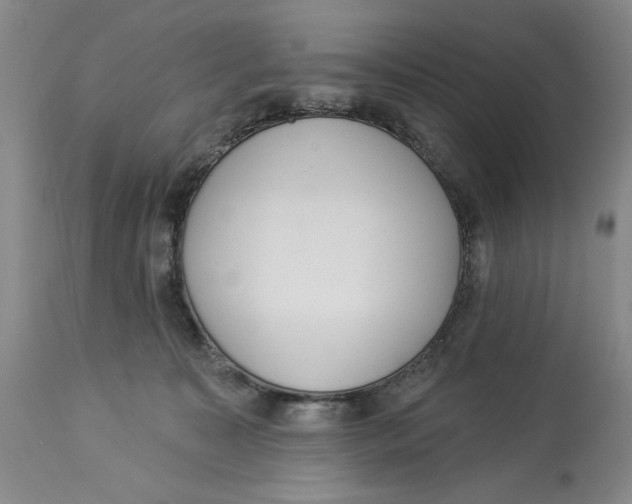 X0000113980323200910231714