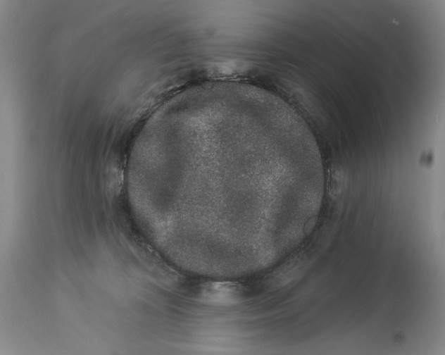 X0000113980324200910231714