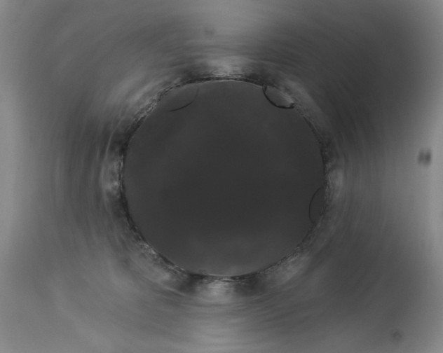 X0000113980325200910231714