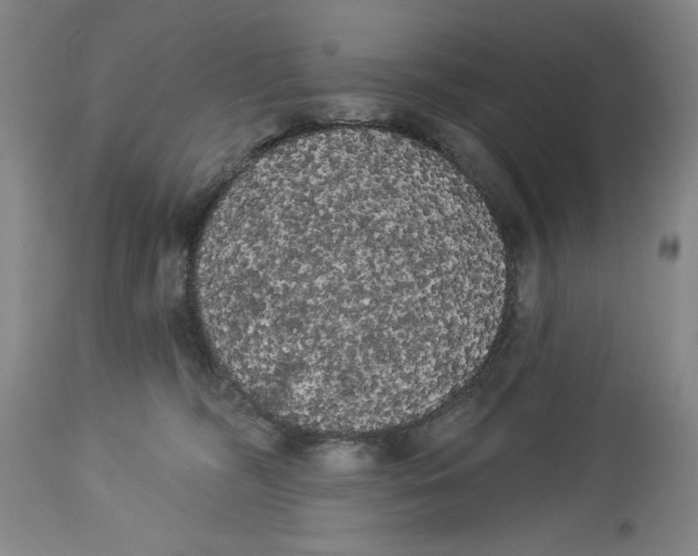 X0000113980326200910231713