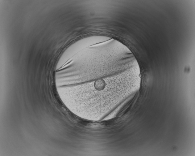 X0000113980327200910231713