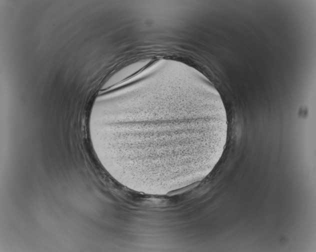X0000113980328200910231713