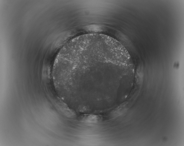 X0000113980330200910231713