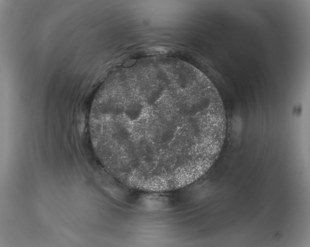 X0000113980331200910231713