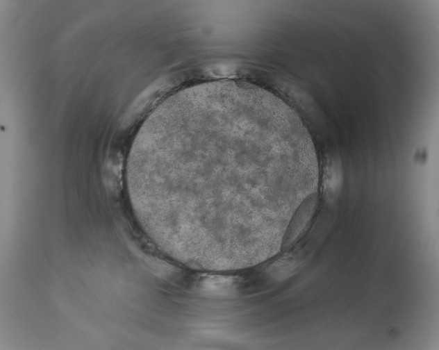 X0000113980332200910231713