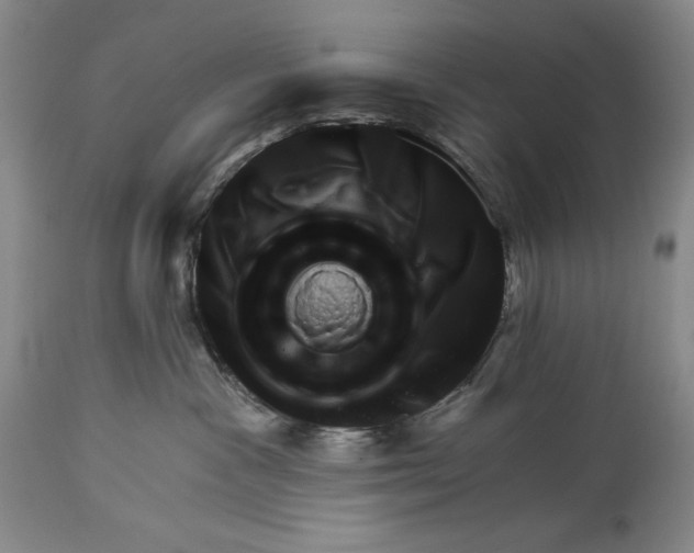 X0000113980333200910231713