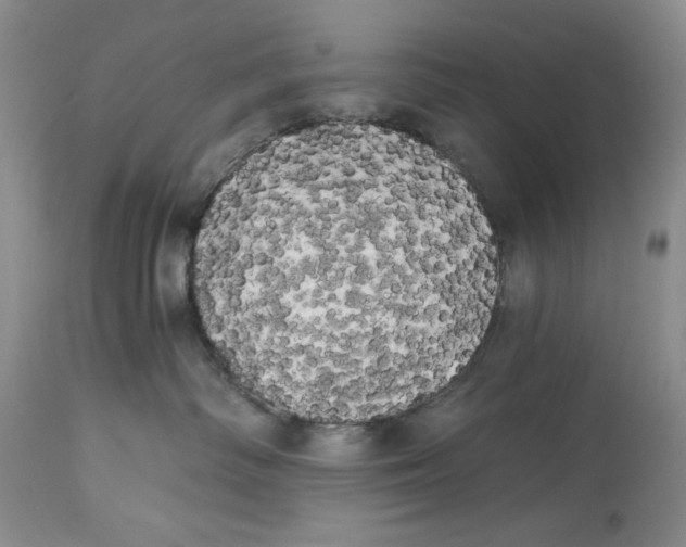 X0000113980334200910231713