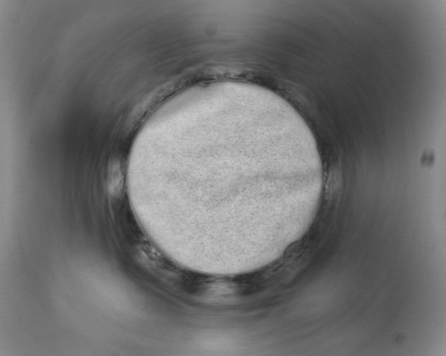 X0000113980335200910231713