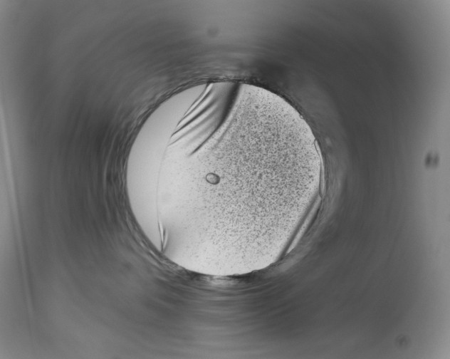 X0000113980336200910231713