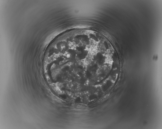 X0000113980337200910231713