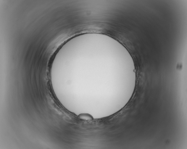 X0000113980338200910231713