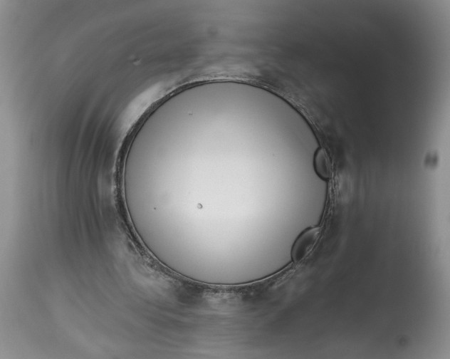 X0000113980340200910231713