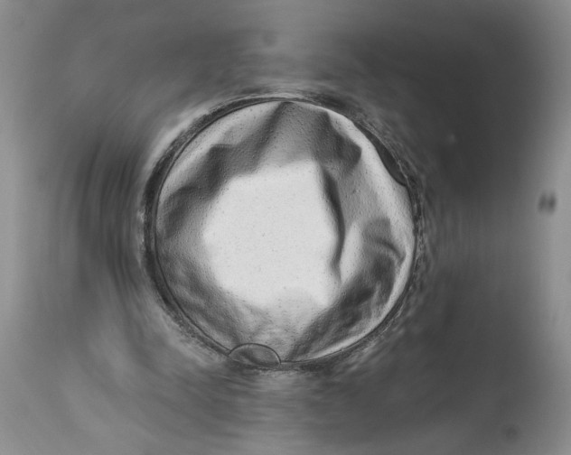 X0000113980342200910231713