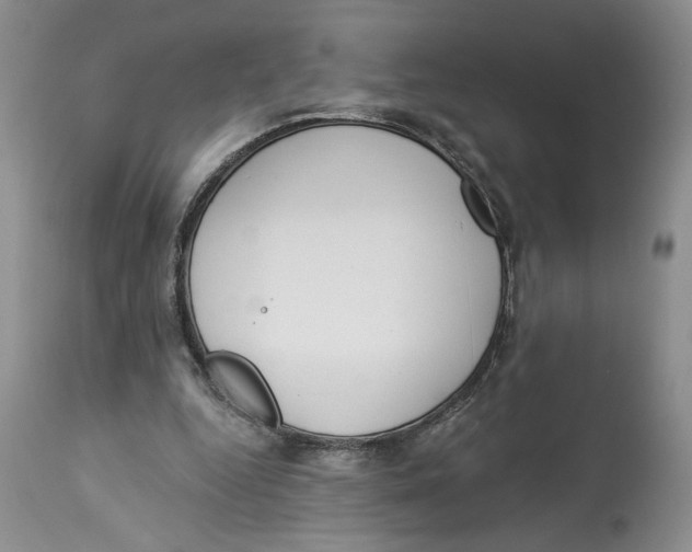 X0000113980344200910231713