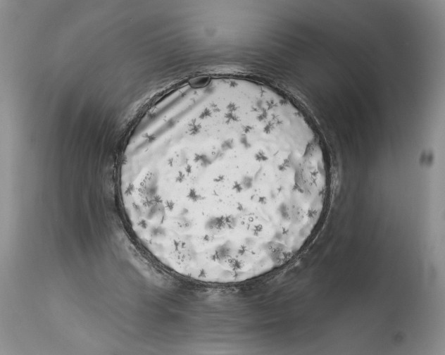 X0000113980345200910231713