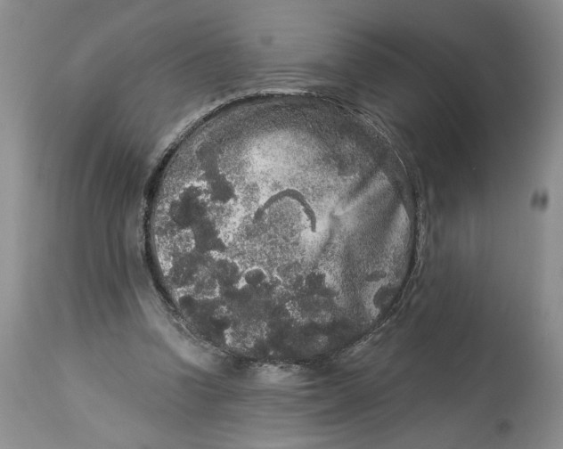 X0000113980346200910231713